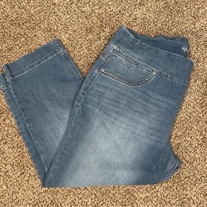 Style and Co Pull on Capri Jeggings size XL(16)
